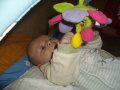 IMGP3521.JPG